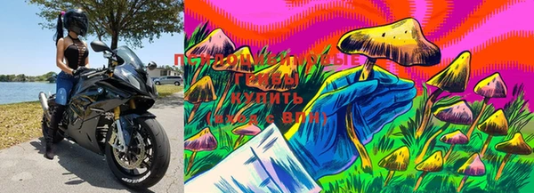 соль курить ск Балахна
