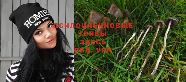 стафф Армянск