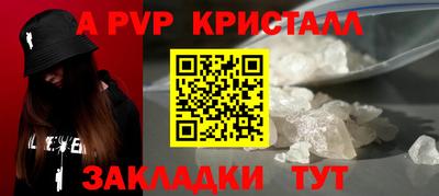 стаф Малгобек