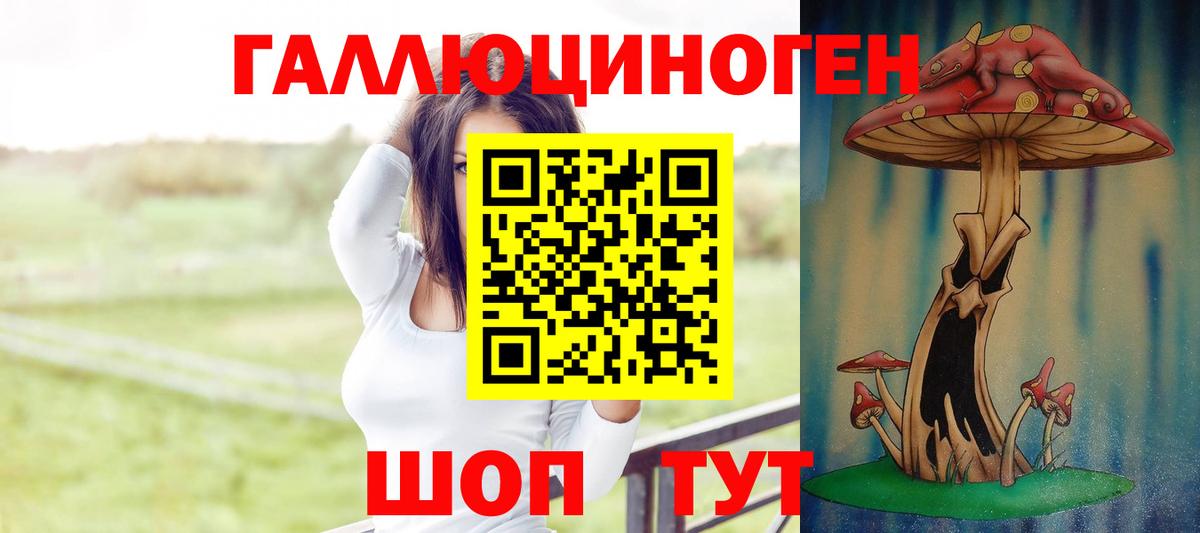 Дедовск  Галлюциногенные грибы MAGIC MUSHROOMS  Вход с VPN 